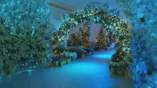 Cleveland offers STEM adventures at museums to boost young minds this holiday season: Growing STEM