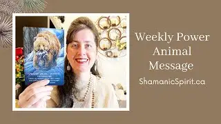 Jan 24-30, 2026: Weekly Power Animal Message And Crystal Healing Talisman Grizzly bear symbolism
