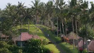 Cinematic Bali | The Beauty of Ubud