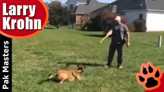 Dog Training | Obedience | Belgian Malinois | Play Time | Pak Masters