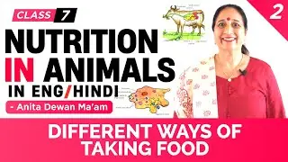 Nutrition in Animals | Different ways of taking food (2/8)