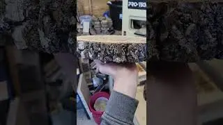 how to flatten and dry wood slices #woodworking #diy #wood