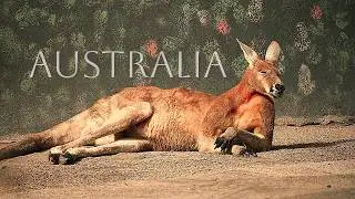 Australia Uncovered: A Visual Adventure! [CINEMATIC TRAVEL FILM]