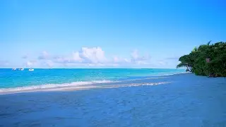 🏝 Scenic Beach View: Island Relaxation From Maldives