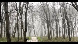 Октябрь. Времена Года. П.И.Чайковский