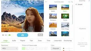 How to fix the background in manycam