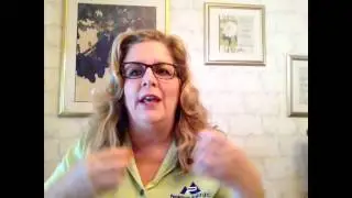 The Big Pitch by Jodi Kaplan