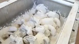 Low-Temperature Vacuum Drying for Heat-Sensitive Polymers: Jexdry Paddle Dryer Case Study in Korea