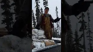 FORECASTING & FALLING TREES - Snowstorm Arrives In The Cariboo Mountains - Wells BC, Jan.12.2021