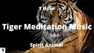 Tiger Meditation Music - Relax Mind Body - Relaxing Music - Spirit Animal - 1 Hour