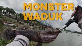 DISINI MEMANG SPOT MONSTER, MANCING CASTING WADUK CENGKLIK