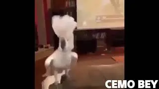 İftardan sonra ben :D (Ne yapıyonuz (CEMOARMY)