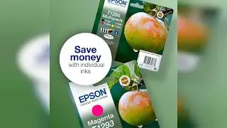 Rezension: Epson T1291 Black Apple Genuine DURABrite Ultra Ink Cartridge