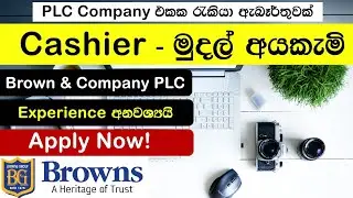 Jobs in Sri Lanka 2024 | Sinhala | @LearnwithHASI