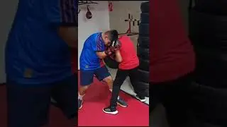 Ko12