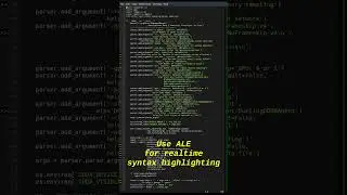 VIM Is A Modern Python Editor