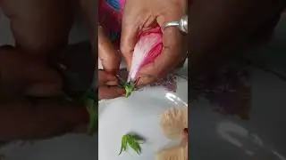 Dissection of hibiscus flower ( without bio lab) Part-5