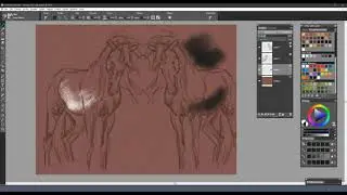How to use the Rake Brush Pack for Painter 2019+