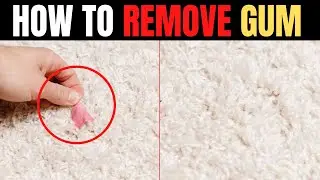 Remove Chewing Gum from Carpet & Clothes - Chewing gum ke daag kaise nikale