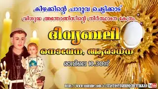 30 DECEMBER 2025  ||  ദിവ്യബലി ||  ST. ANTONYS SHRINE CHETTIKKAD