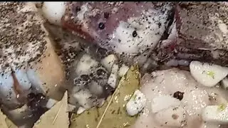 МАРИНОВАНЕ САЛО В РОЗРІЗІ! ЗАПРОШУЮ ДО СПІЛКУВАННЯ!🤗