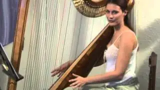 Harp Percussion Tips