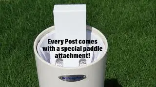 Goat Video 11 09 23