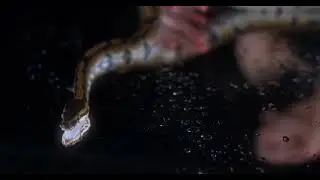 Ghenna - Wąż