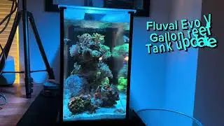 Обновление 2 для аквариума Fluval Evo V Gallon Reef Coral Tank