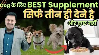 Only three best supplements should be given for dogs and nothing else 😇 Dog Best Supplement