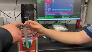 Digital Control of Inverted Pendulum - 200Hz