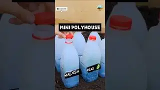 Mini Polyhouse Made from Plastic Bottles 🌱
