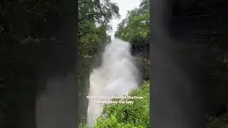 Story of Davis/Dev&rsquo;s Fall, Pokhara 🇳🇵#nepal