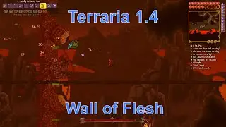 Wall of Flesh | Terraria 1.4