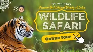 Jungle Safari Untamed Wilderness: Solo Safari Adventure Among Exotic Birds & Beasts #funwithtikoo