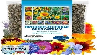 Drought Tolerant Wildflower Seeds 4oz Open Pollinated Bulk Flower Seed Mix