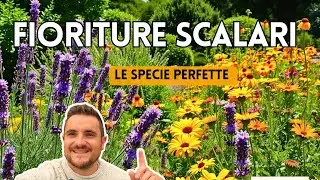 6 PIANTE PER FIORITURE SCALARI TUTTO L'ANNO