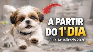 Complete Shih Tzu Guide 2026! UPDATED!