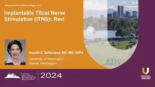 Treatment Options for Overactive Bladder (OAB): Implantable Tibial Nerve Stimulation (iTNS): Revi