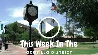 This Week in the Ocotillo District (9-18-2024)