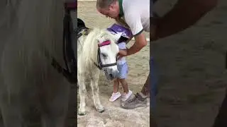 Horse riding in Mauritius: West coast | Charlotte 2 years old
