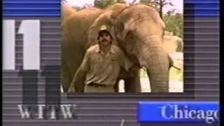WTTW PBS 11 - 