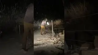 Snowy Sunday Night! #shorts #feed #farming #pigs #sheep #snow #winter #cold #night
