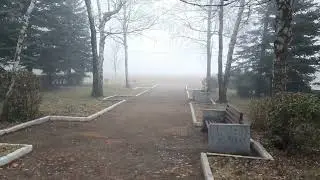 ОБЗОР- ПРОГУЛКА 