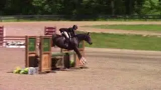 Video of Valentine ridden by Elizabeth Kirby from ShowNet!