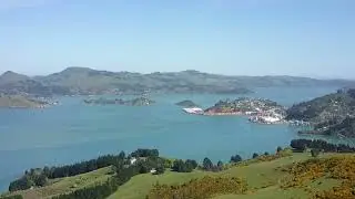 Quietly Extraordinary -  Dunedin Harbour