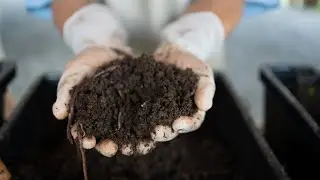 Expert warns compostable packaging should not be endorsed