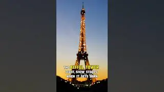 Eiffel Tower Light Show in Paris #travel