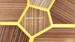 La fusion du placage de meranti sur un fond jaune &eacute;clatant
