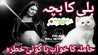 Hamila aurat ka khwab mein billi ka bacha dekhna||Pregnancy dreams||dream interpretation||Khwab||